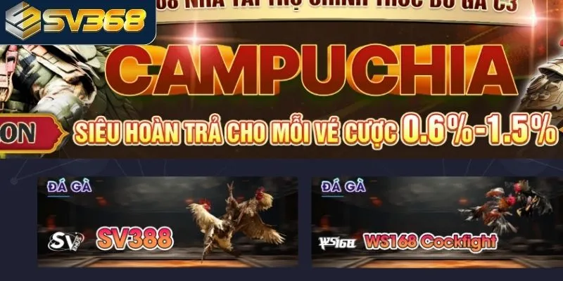 Những sảnh livestream đá gà SV368 đỉnh cao